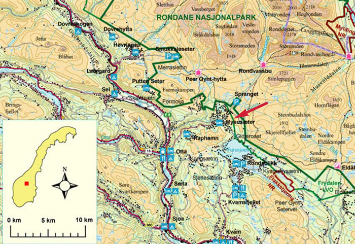 Skilaufen in der Rondane